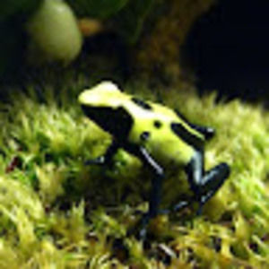 Meet your Posher, Katrina